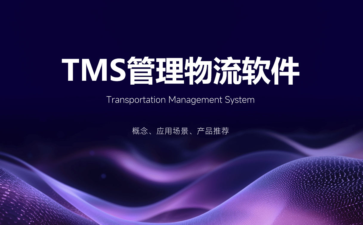 TMS管理物流软件